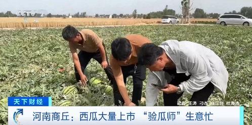 吃瓜前线380,揭秘娱乐圈最新热点事件