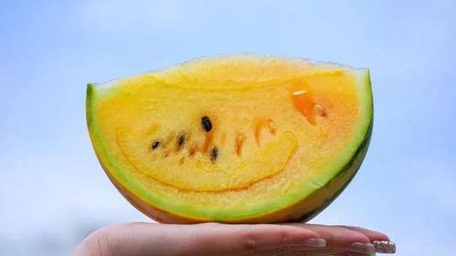 巧吃瓜,解锁夏日清凉新姿势