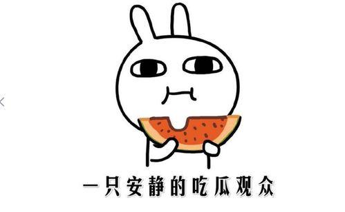 吃瓜群众观察,吃瓜群众眼中的明星幕后故事