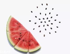 吃瓜吐西瓜籽讲究,吃瓜吐籽的艺术与讲究