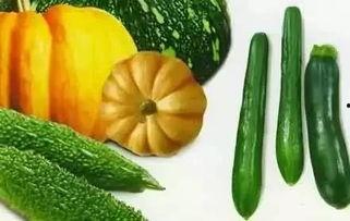 肖杨吃瓜,揭秘娱乐圈幕后故事