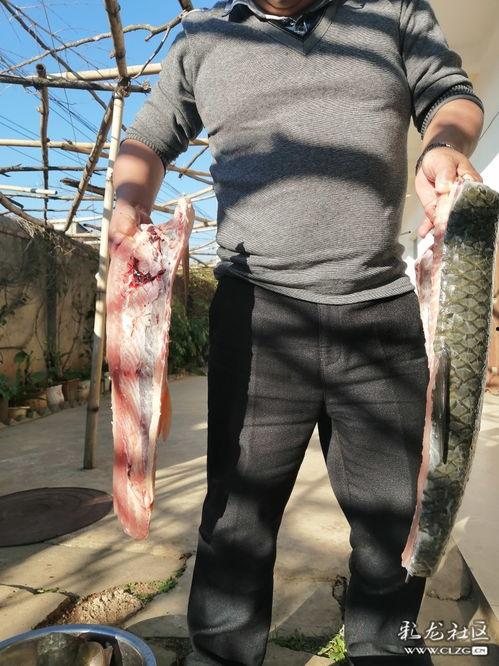 吃瓜主播鱼,网络红人的崛起之路