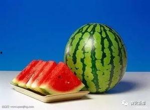 什么瓜适合榨汁吃,揭秘最适合榨汁的瓜类选择