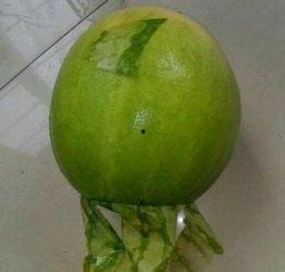 朝阳今日吃瓜事件,揭秘网络热议背后的真相与反思