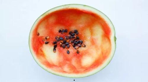 恒星吃瓜记,一场星际间的奇幻冒险