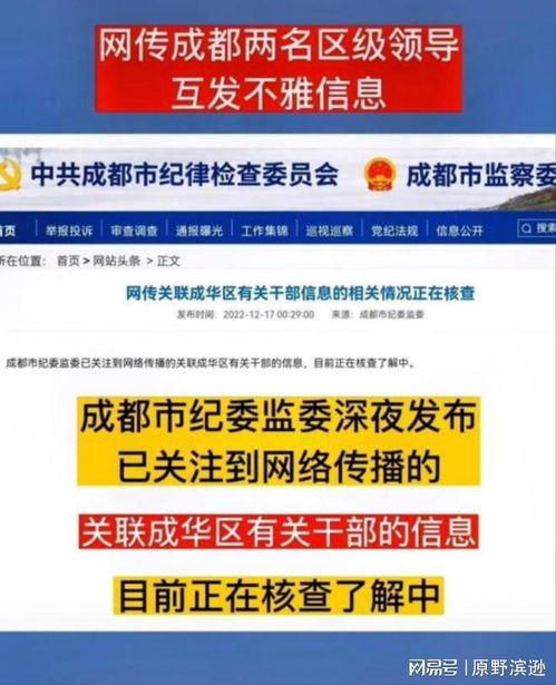 吃瓜成华区副区长,从网络红人到政府官员的蜕变之路