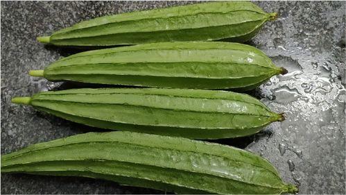 蒲瓜怎么吃最有毒,揭秘最毒的食用方式