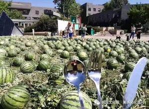 美院吃瓜群众,吃瓜群众揭秘艺术圈幕后故事